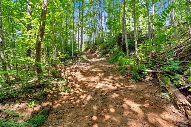 196 Whitestone Drive, Talking Rock, GA 30175