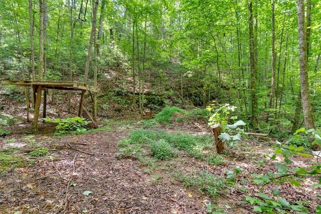 196 Whitestone Drive, Talking Rock, GA 30175