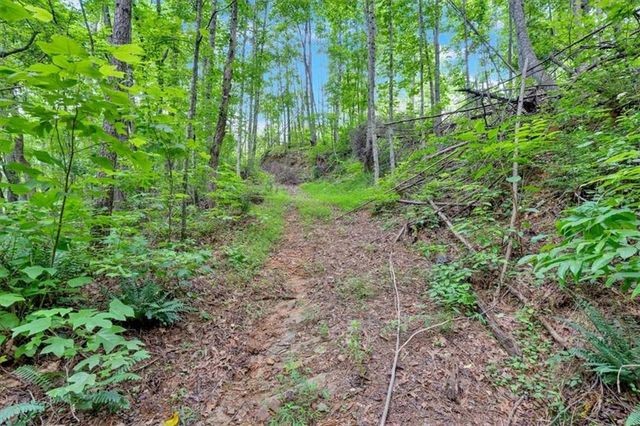 196 Whitestone Drive, Talking Rock, GA 30175