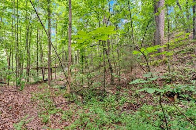 196 Whitestone Drive, Talking Rock, GA 30175