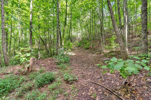 196 Whitestone Drive, Talking Rock, GA 30175