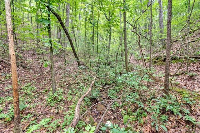 196 Whitestone Drive, Talking Rock, GA 30175