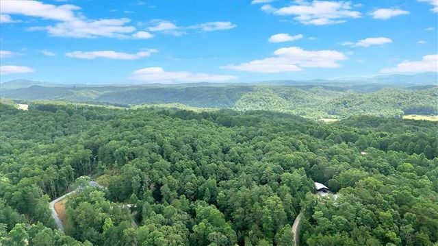 196 Whitestone Drive, Talking Rock, GA 30175