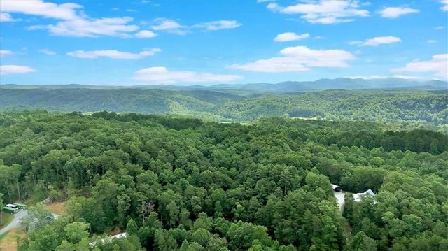 196 Whitestone Drive, Talking Rock, GA 30175