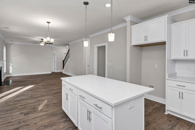 111 Greengarden Drive, Chapin, SC 29036