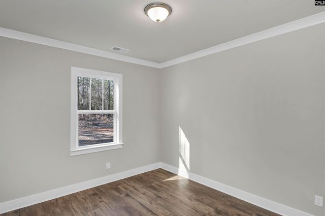 111 Greengarden Drive, Chapin, SC 29036