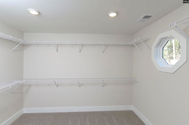 111 Greengarden Drive, Chapin, SC 29036