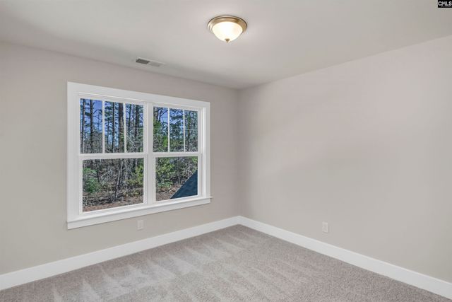 111 Greengarden Drive, Chapin, SC 29036