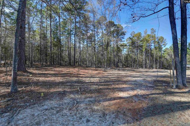 111 Greengarden Drive, Chapin, SC 29036