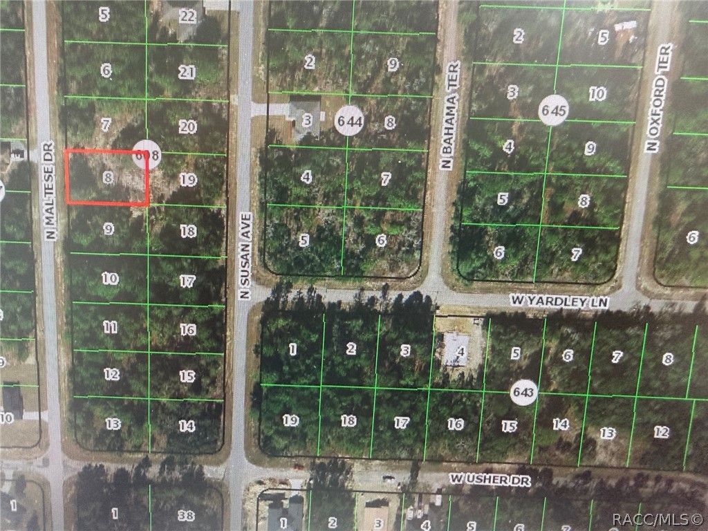 7967 N Maltese Drive, Citrus Springs, FL 34433