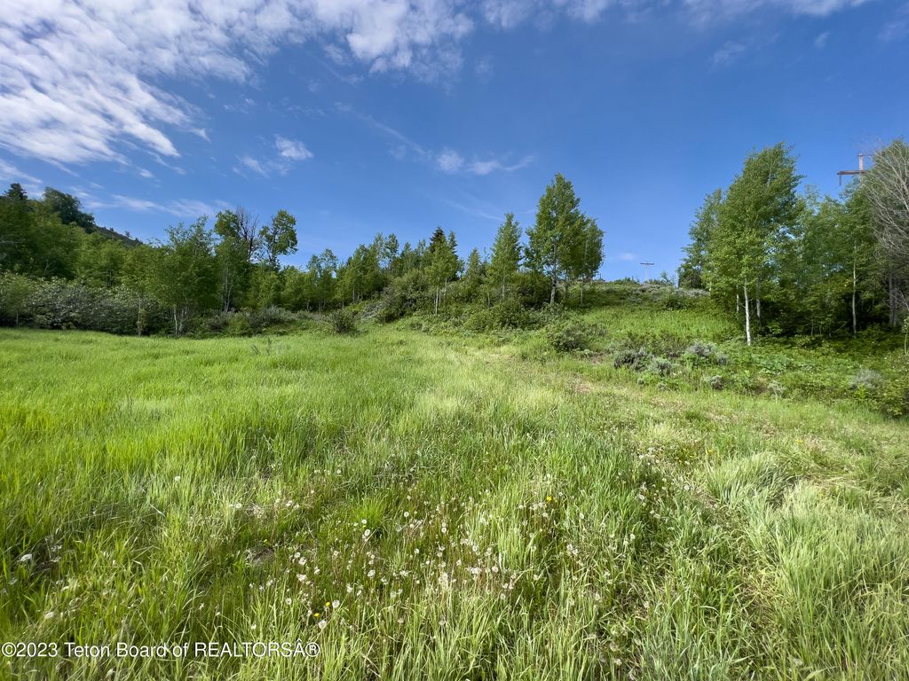RODEO Road, Jackson, WY 83001 photo 10