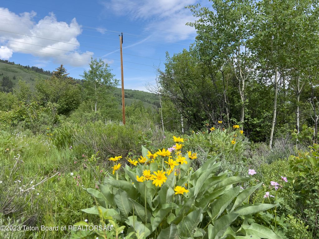 RODEO Road, Jackson, WY 83001 photo 11