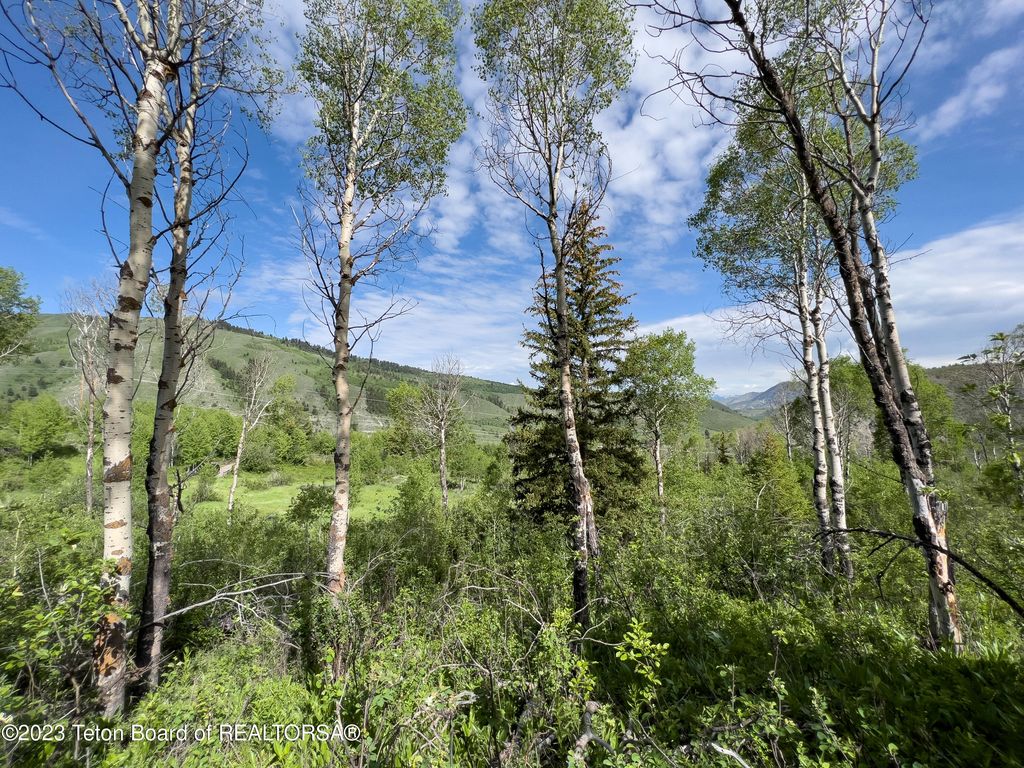 RODEO Road, Jackson, WY 83001 photo 12