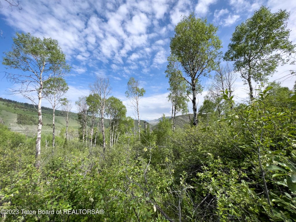 RODEO Road, Jackson, WY 83001 photo 16