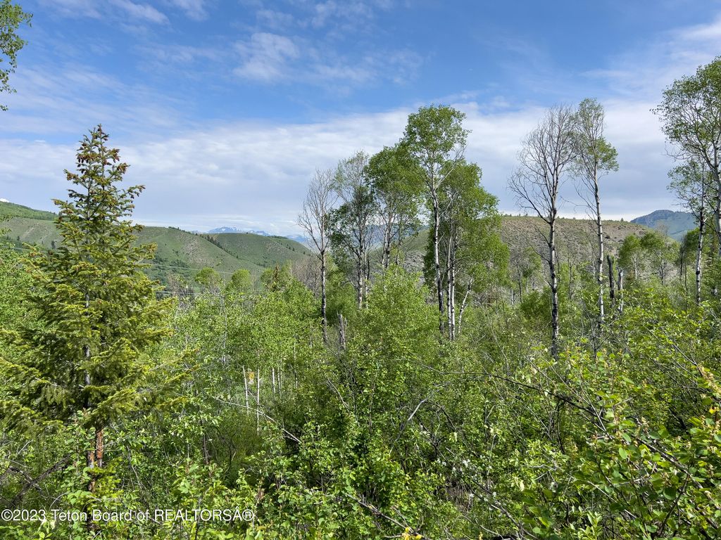RODEO Road, Jackson, WY 83001 photo 17
