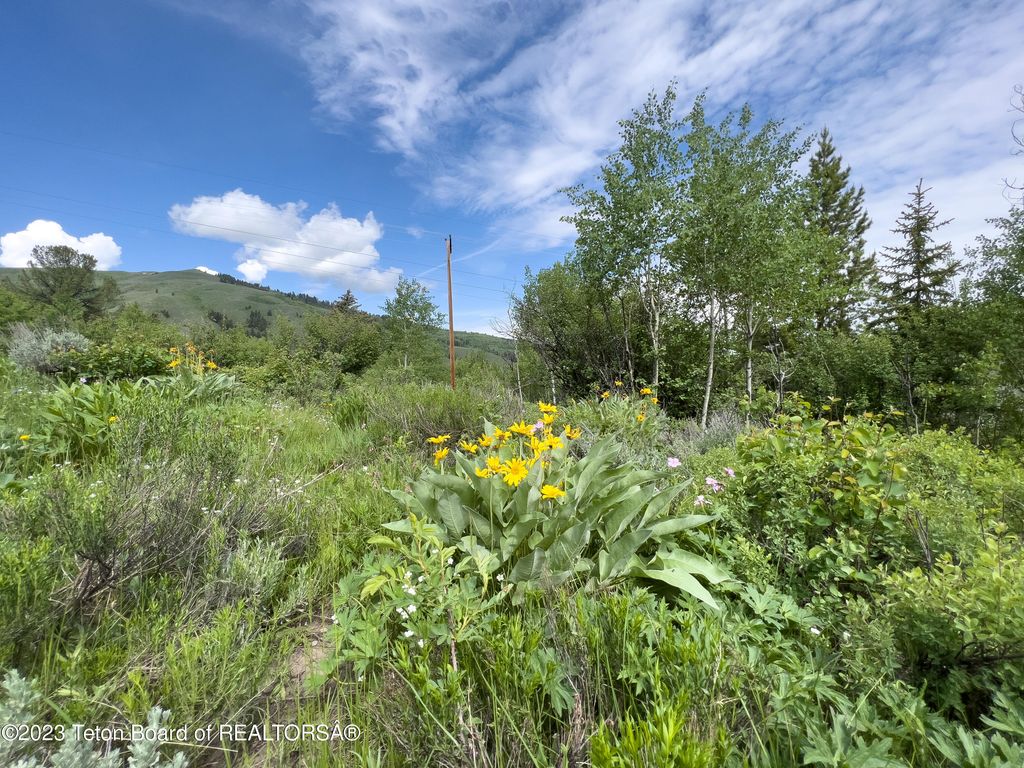 RODEO Road, Jackson, WY 83001 photo 22