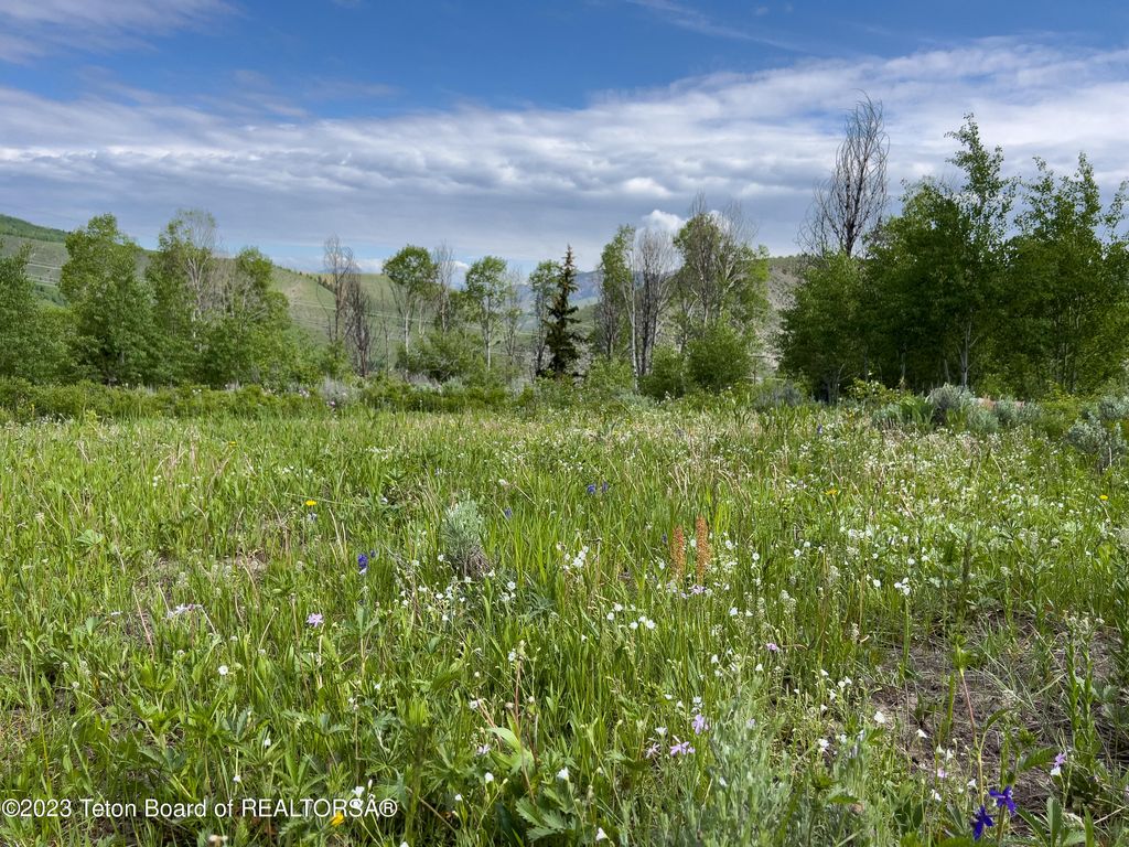 RODEO Road, Jackson, WY 83001 photo 5