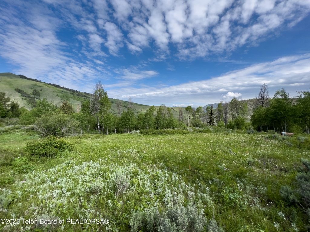 RODEO Road, Jackson, WY 83001 photo 6