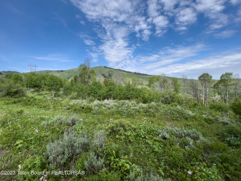 RODEO Road, Jackson, WY 83001 photo 7