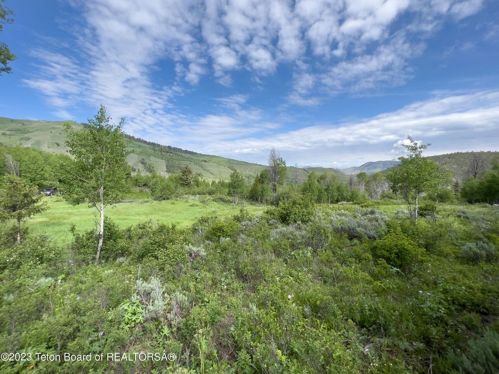 RODEO Road, Jackson, WY 83001 photo 8