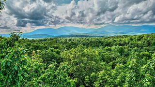 14 AC Rainbow Ridge Drive, Ellijay, GA 30536