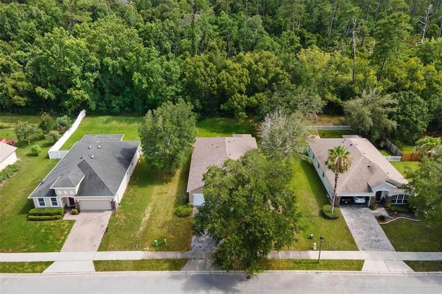 3360 CREEK RUN LANE, Eustis, FL 32736