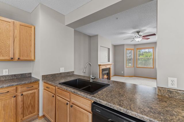 11941 Emery Village Drive N 2101, Champlin, MN 55316