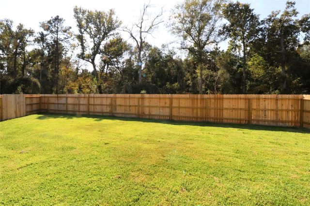 20805 Le Scifo Ct, New Caney, TX 77357