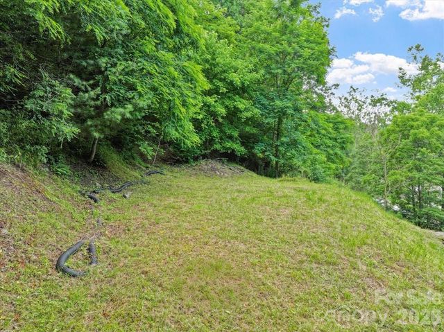 2079 Roses Branch Road, Green Mountain, NC 28740