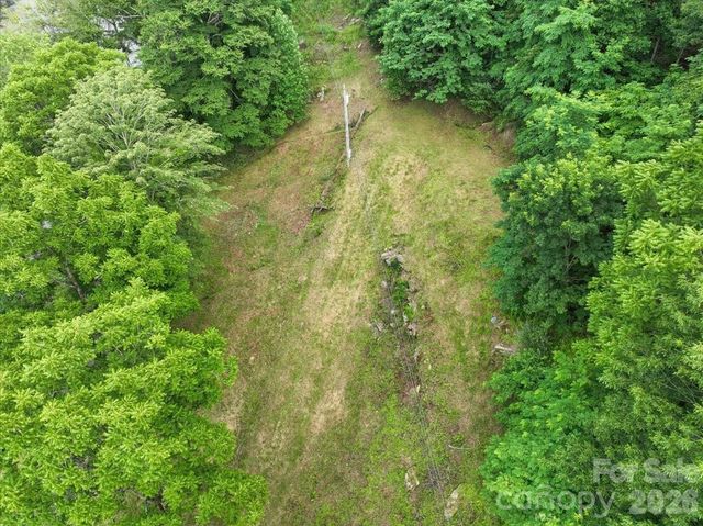 2079 Roses Branch Road, Green Mountain, NC 28740