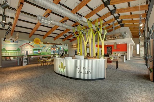 16520 Wind Chime DR, Manor, TX 78653