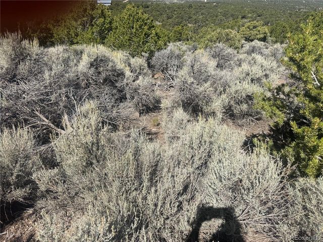 7876 Stone Rd, Fort Garland, CO 81133