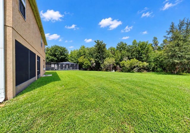 4346 WATERVILLE AVENUE, Wesley Chapel, FL 33543
