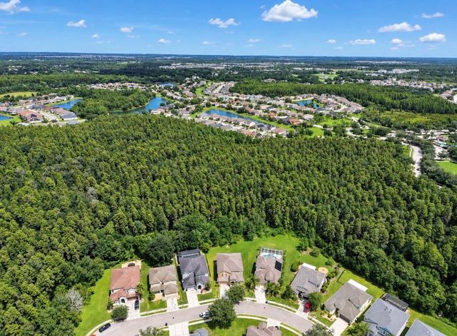 4346 WATERVILLE AVENUE, Wesley Chapel, FL 33543