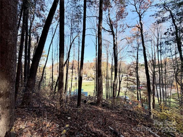 99999 Dix Creek No 1 Road, Leicester, NC 28748