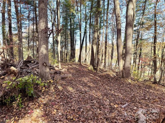 99999 Dix Creek No 1 Road, Leicester, NC 28748