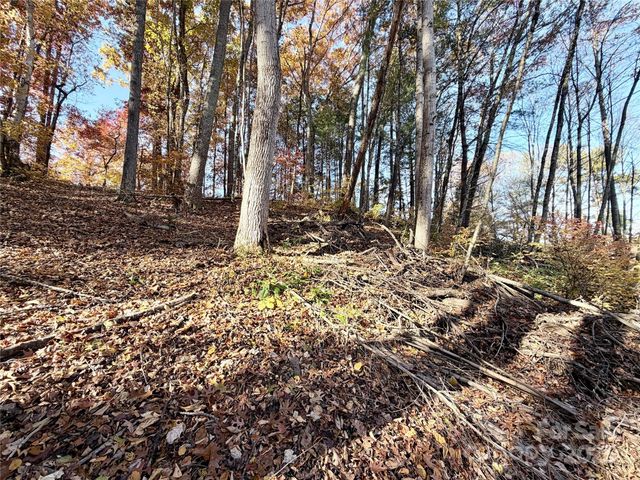 99999 Dix Creek No 1 Road, Leicester, NC 28748