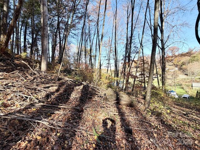 99999 Dix Creek No 1 Road, Leicester, NC 28748