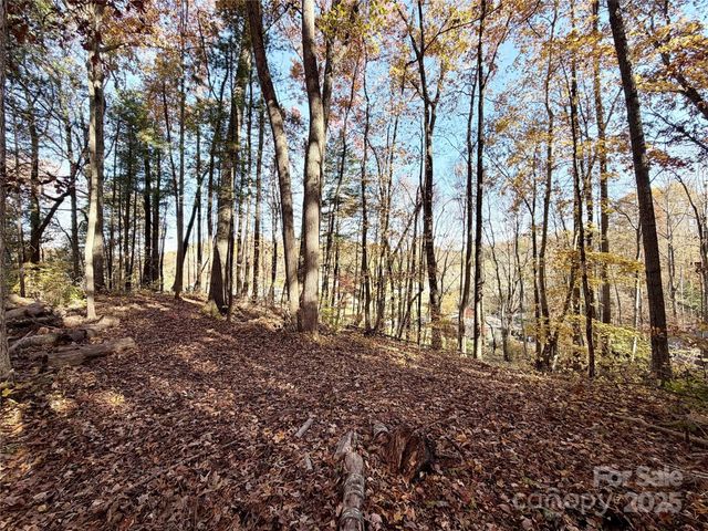 99999 Dix Creek No 1 Road, Leicester, NC 28748