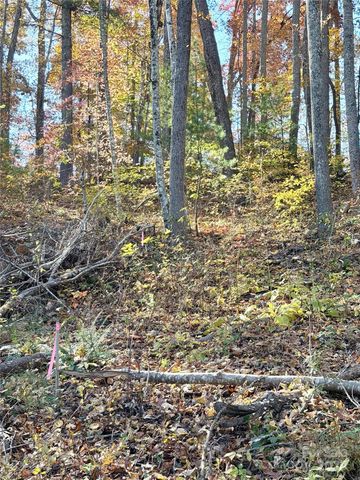 99999 Dix Creek No 1 Road, Leicester, NC 28748