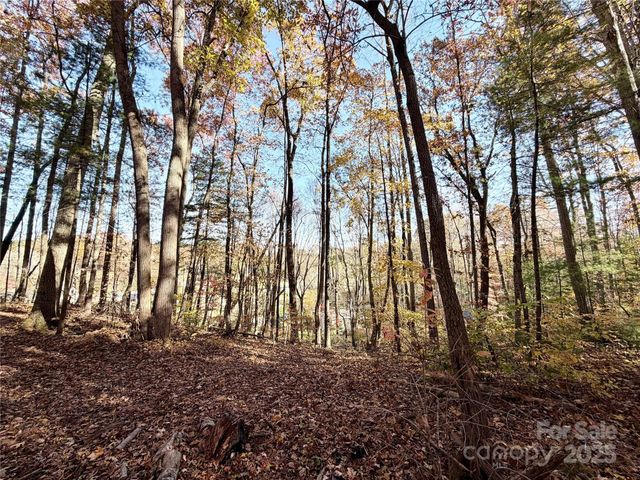 99999 Dix Creek No 1 Road, Leicester, NC 28748