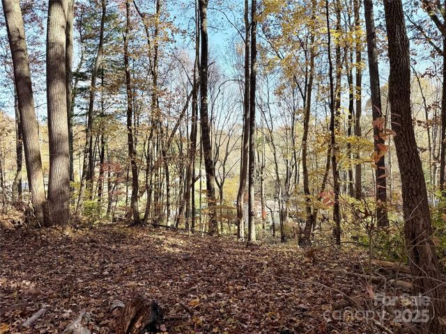 99999 Dix Creek No 1 Road, Leicester, NC 28748