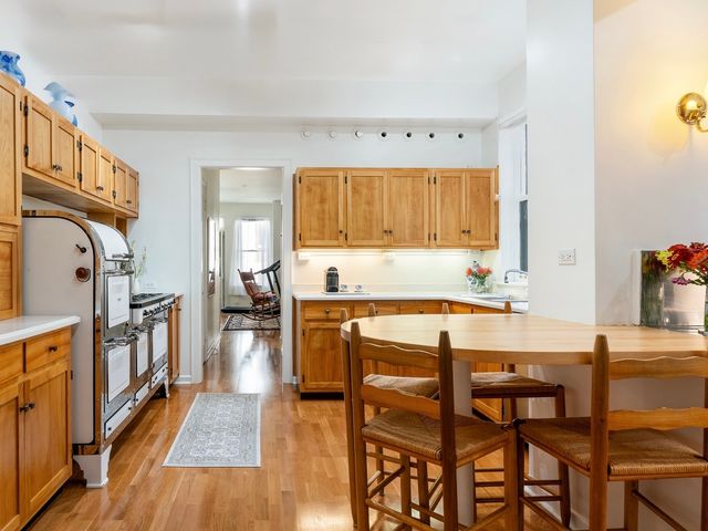 232 E Walton Place 3E, Chicago, IL 60611