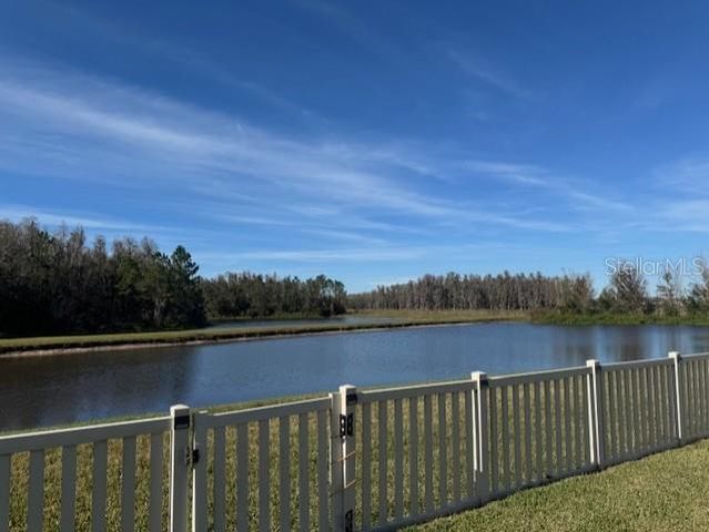 10662 PICTORIAL PARK DRIVE, Tampa, FL 33647
