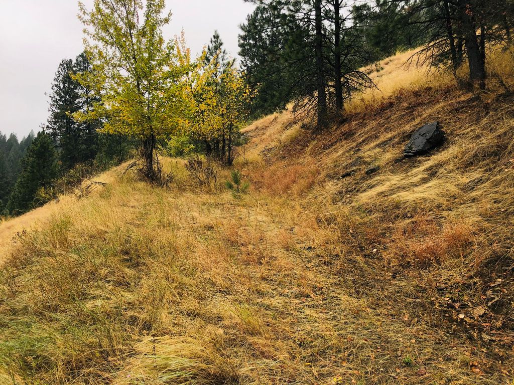 NKA Round Lake Rd, St. Maries, ID 83861 photo 3