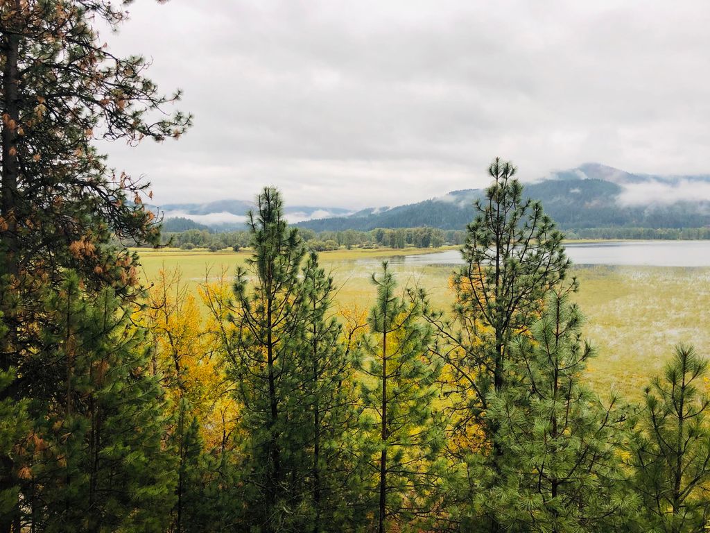 NKA Round Lake Rd, St. Maries, ID 83861 photo 4