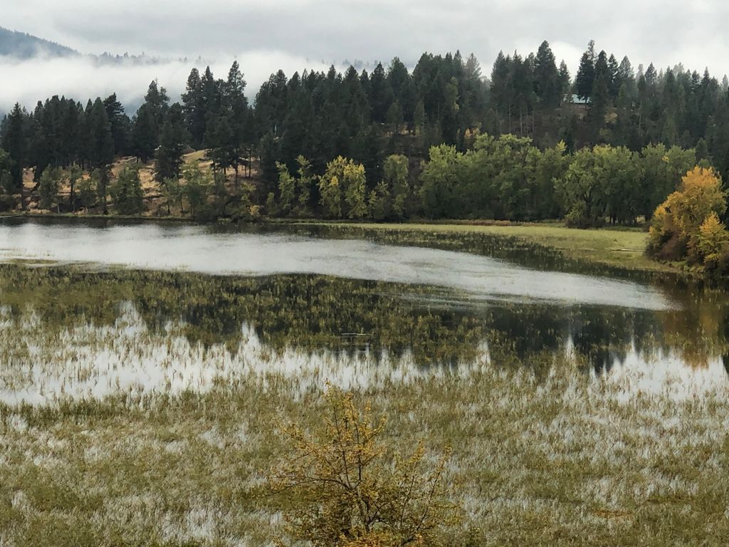 NKA Round Lake Rd, St. Maries, ID 83861 photo 5