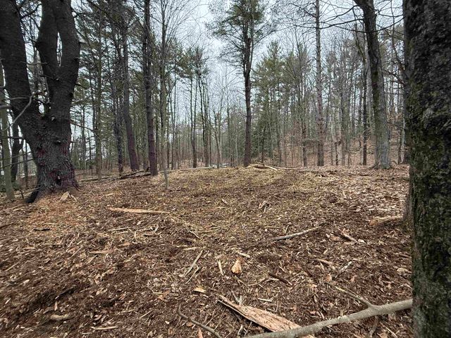 14-2 Jewett Road, Hopkinton, NH 03229