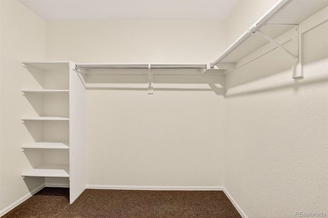 8813 Sassafras Street, Parker, CO 80134