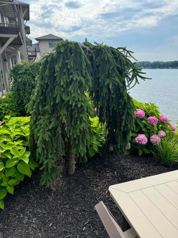 543 Macatawa Avenue, Holland City, MI 49423